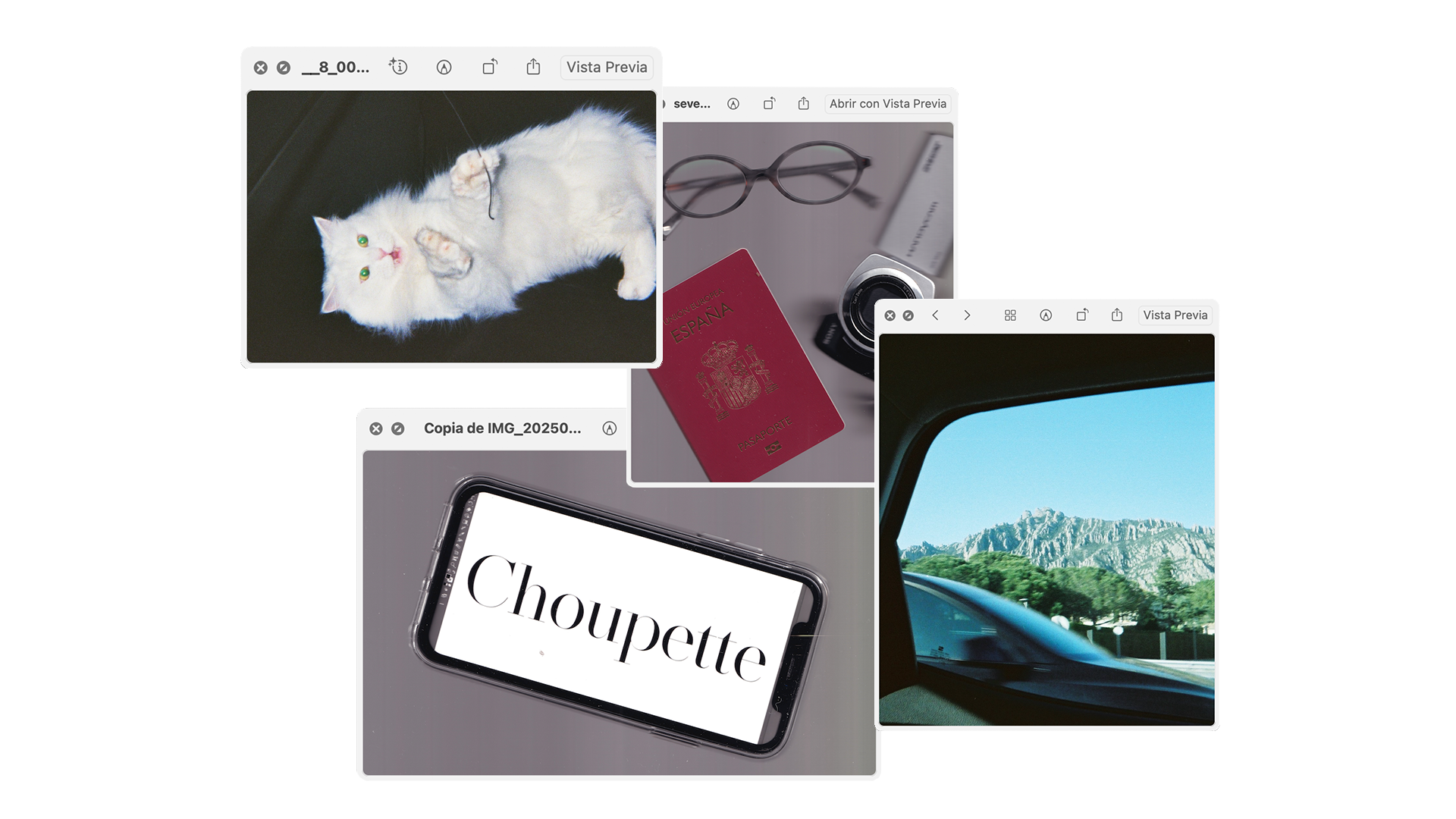 compo-choupette